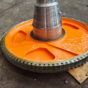 Vulcanizer gear