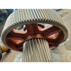 Industrial Extruder Gear